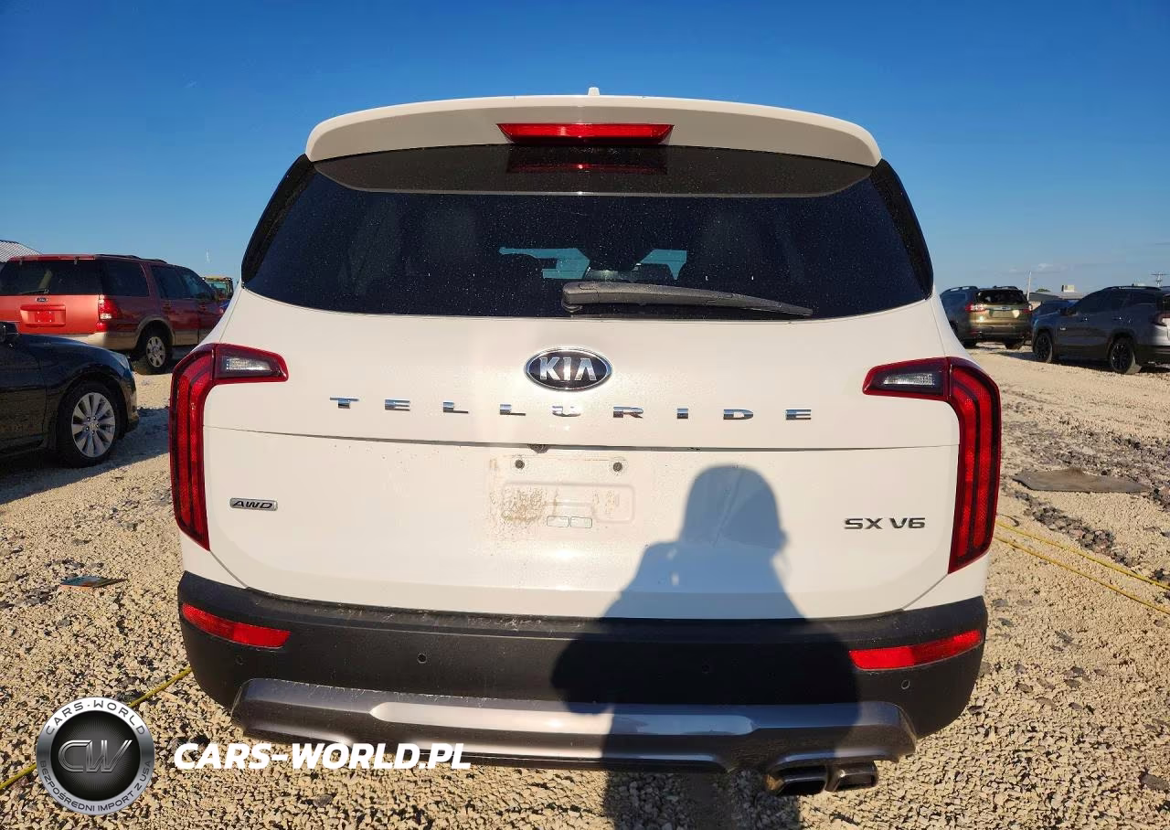 2020 Kia Telluride Sx VIN:5XYP5DHC8LG013552 - 6