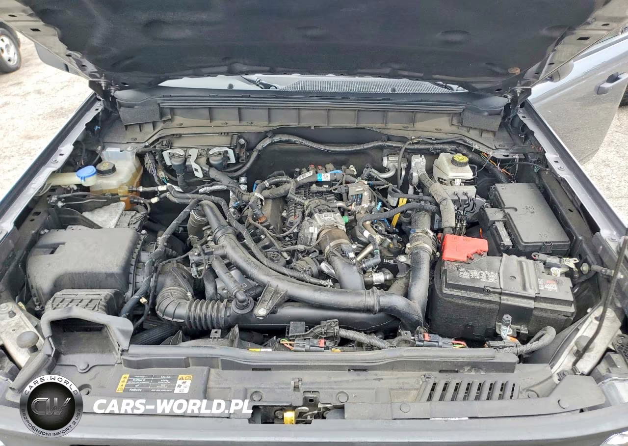 2024 Ford Bronco Black Diamond VIN:1FMEE1BP6RLB53593 - 12