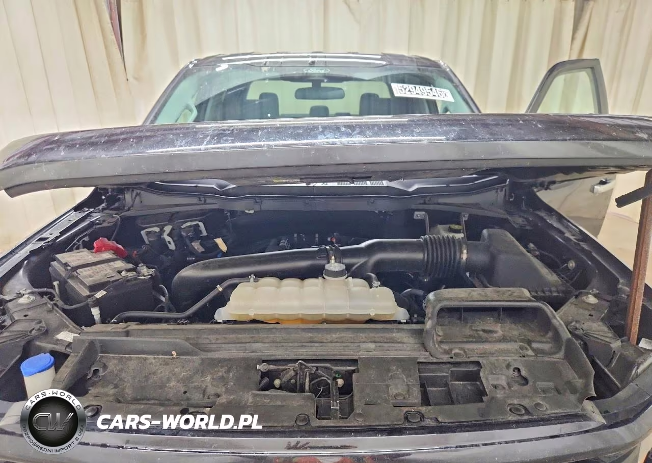 2025 Ford F150 Xlt VIN:1FTEW3K87SKE89559 - 11