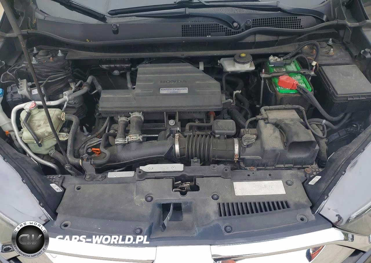 2019 Honda Cr-V Exl VIN:5J6RW1H85KA011363 - 12