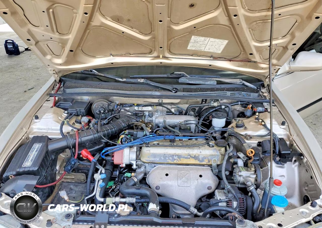 1995 Honda Accord Lx VIN:1HGCD7237SA001453 - 11