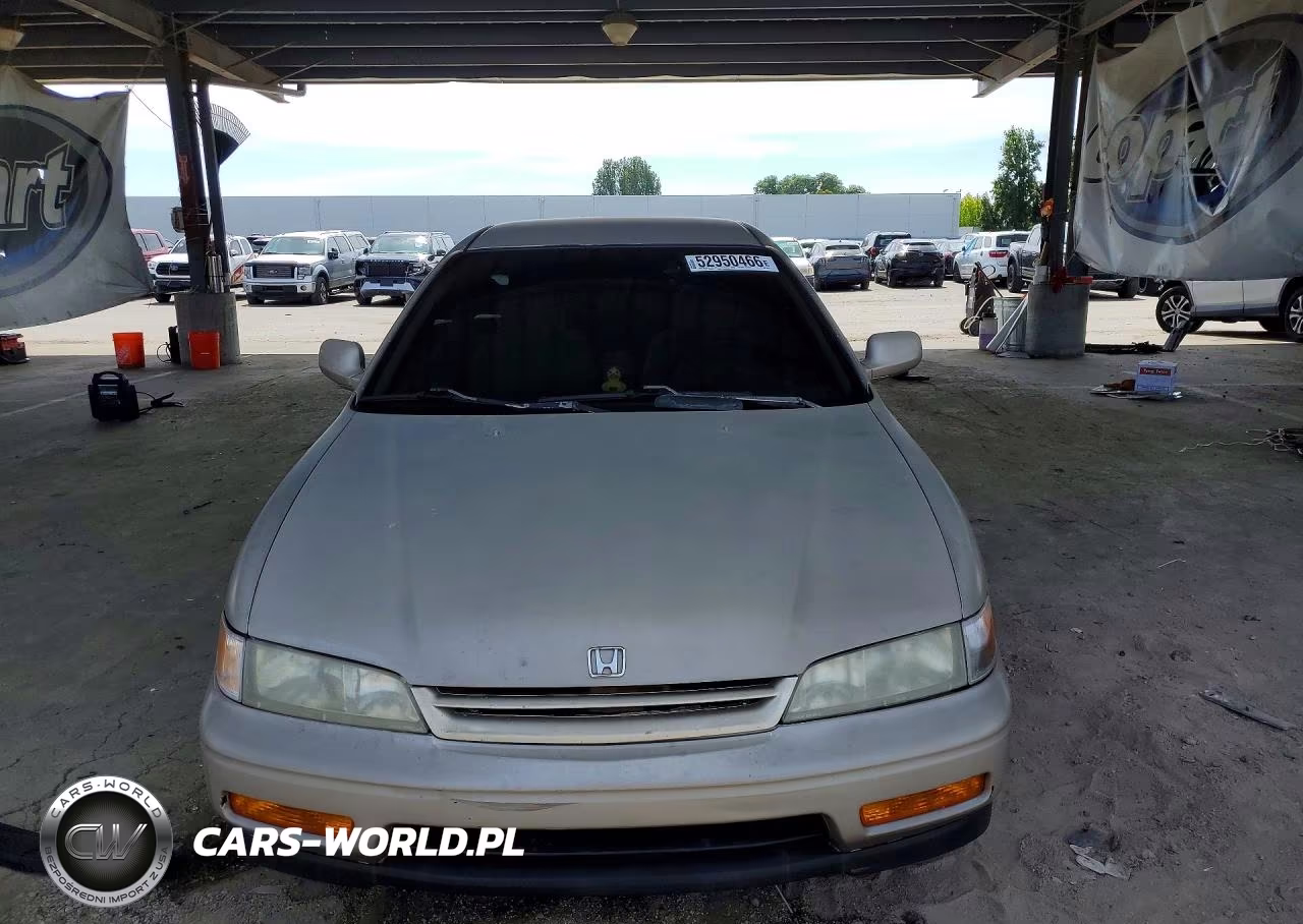 1995 Honda Accord Lx VIN:1HGCD7237SA001453 - 5