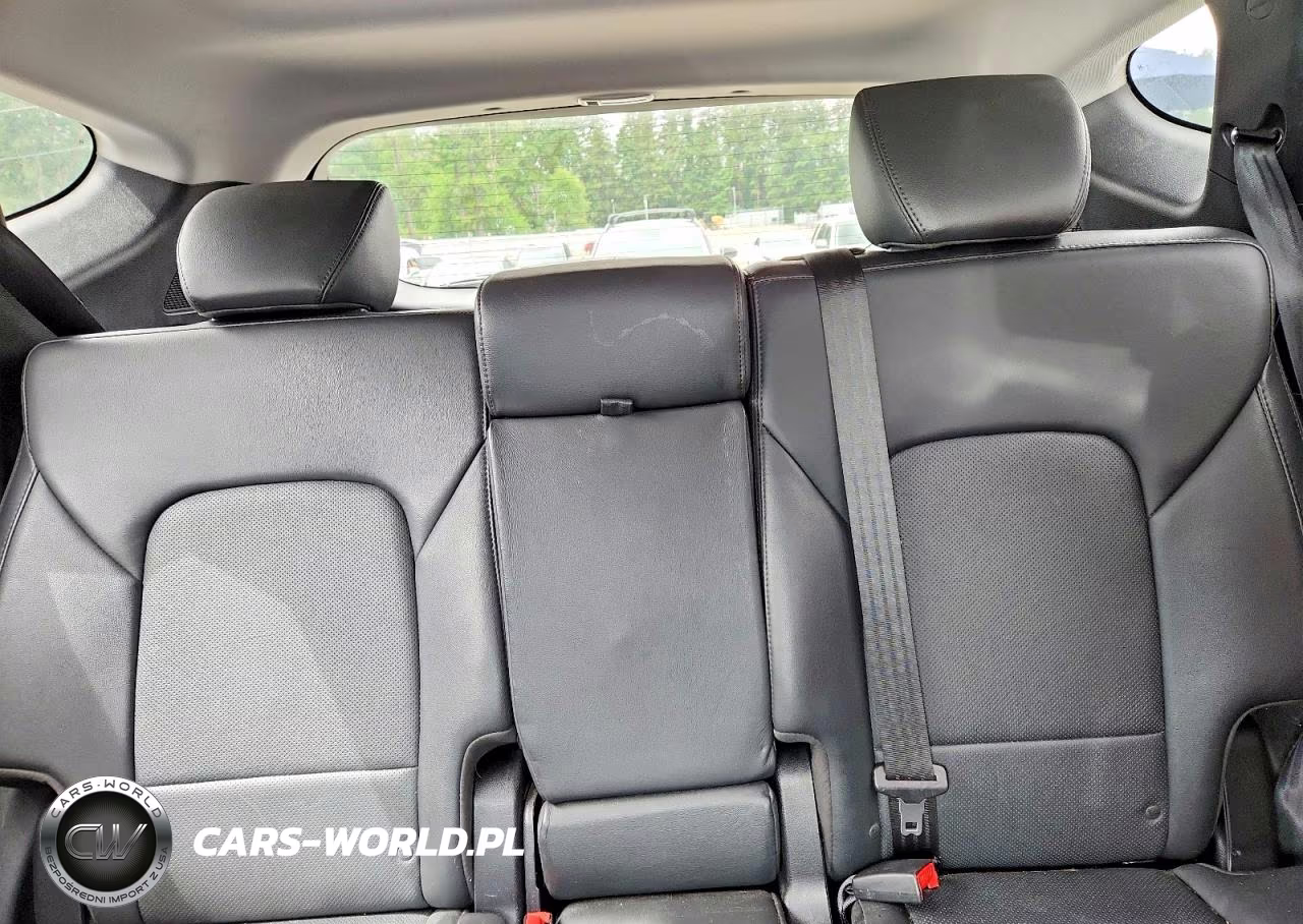 2017 Hyundai Santa Fe Sport 2.0T Ultimate VIN:5XYZWDLA1HG493257 - 10