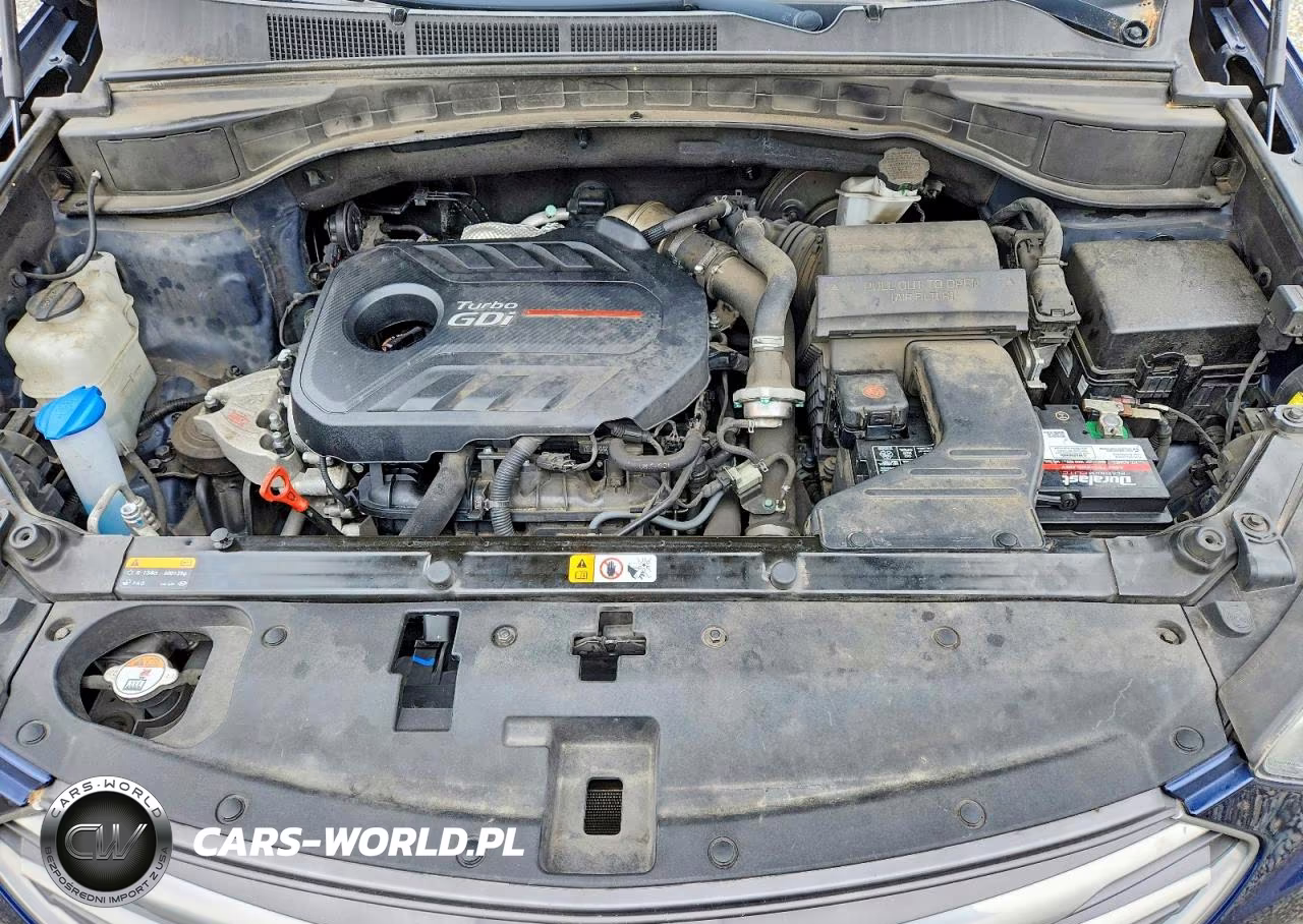 2017 Hyundai Santa Fe Sport 2.0T Ultimate VIN:5XYZWDLA1HG493257 - 12