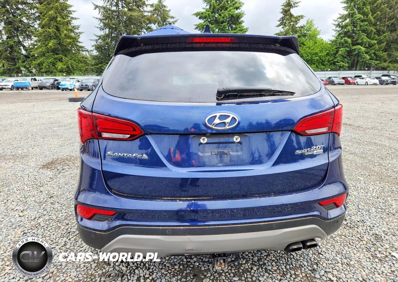 2017 Hyundai Santa Fe Sport 2.0T Ultimate VIN:5XYZWDLA1HG493257 - 6
