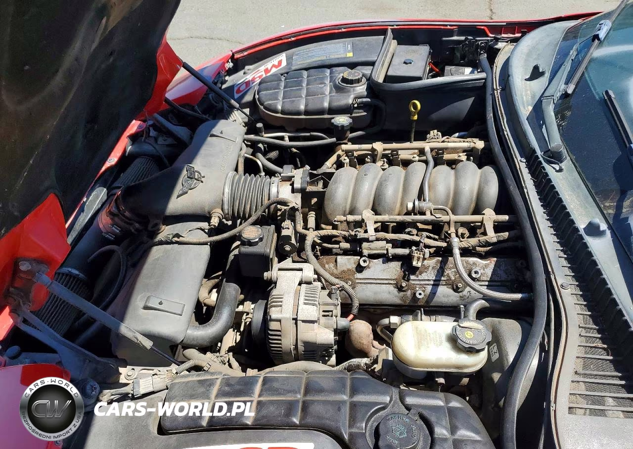 1999 Chevrolet Corvette VIN:1G1YY32G8X5126541 - 11