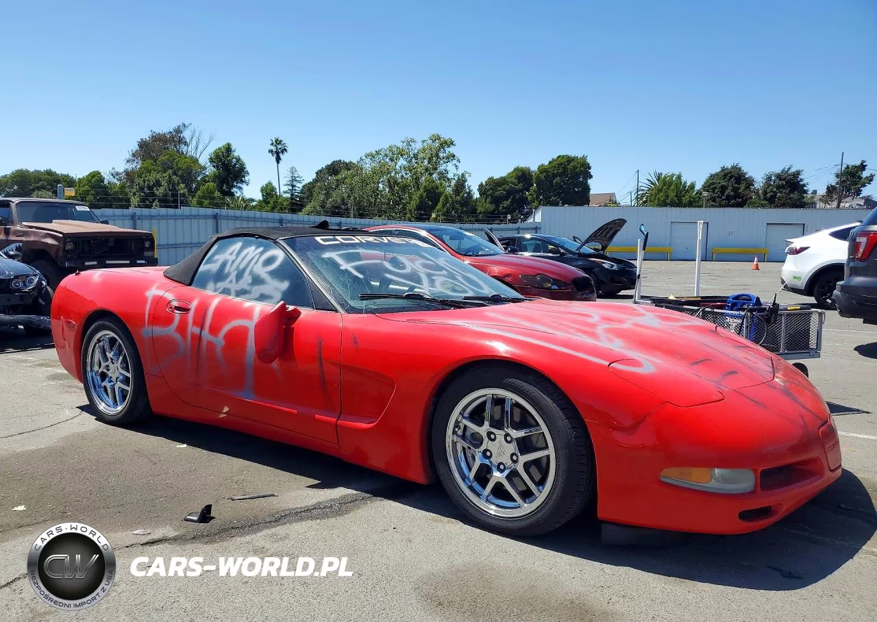 1999 Chevrolet Corvette VIN:1G1YY32G8X5126541 - 4