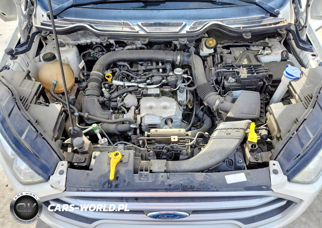 2018 Ford Ecosport Se VIN:MAJ3P1TE3JC209227 - 12