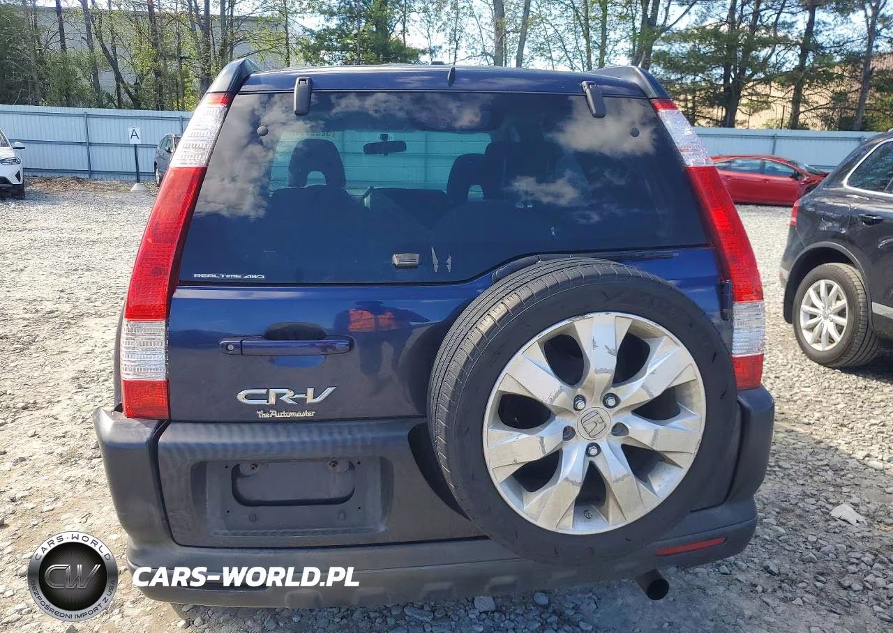 2006 Honda Cr-V Ex VIN:JHLRD78826C028391 - 6