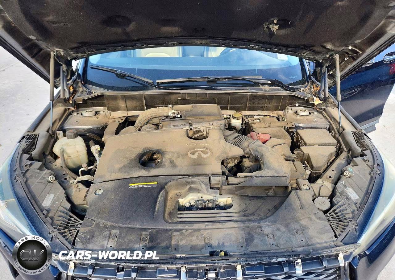 2019 Infiniti Qx50 Essential VIN:3PCAJ5M18KF108114 - 12