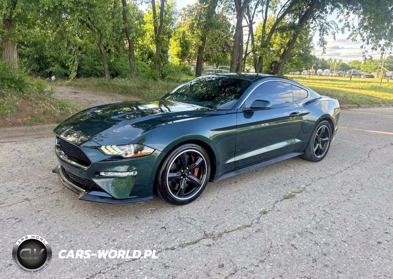 2019 Ford Mustang Bullitt VIN:1FA6P8K00K5504450 - 2