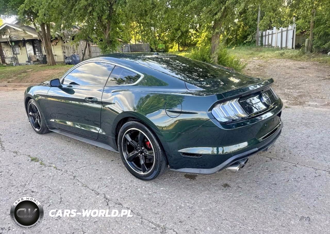 2019 Ford Mustang Bullitt VIN:1FA6P8K00K5504450 - 3