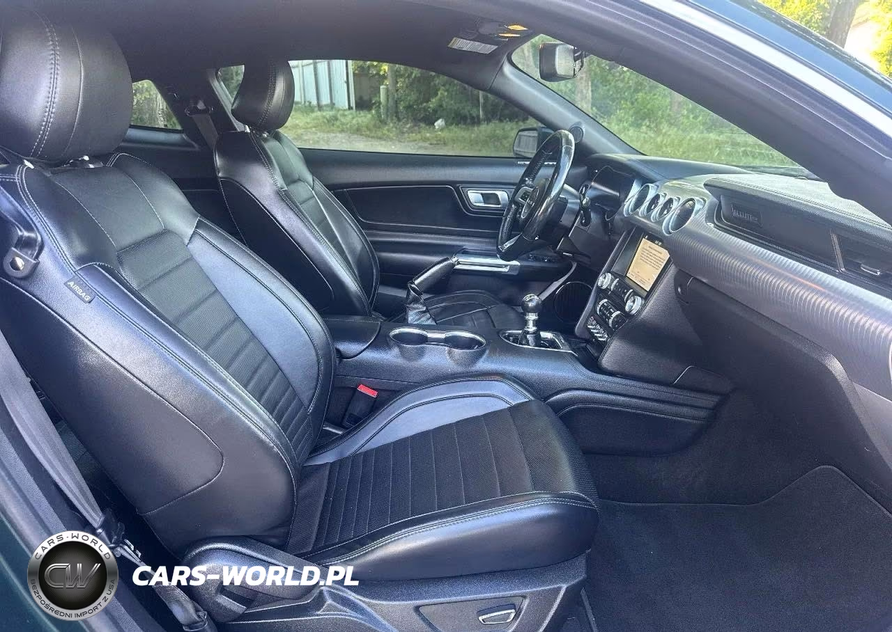 2019 Ford Mustang Bullitt VIN:1FA6P8K00K5504450 - 5