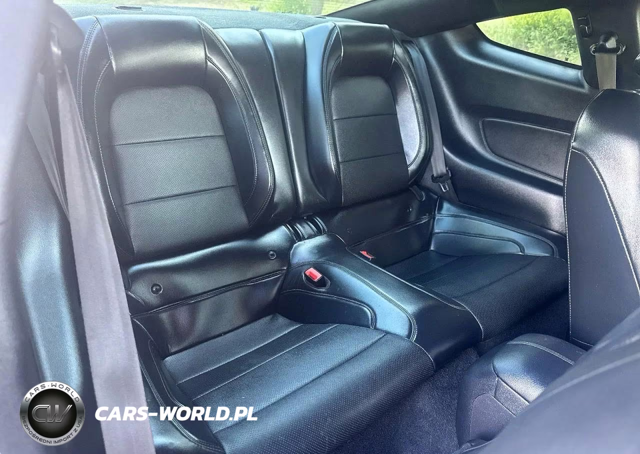 2019 Ford Mustang Bullitt VIN:1FA6P8K00K5504450 - 6