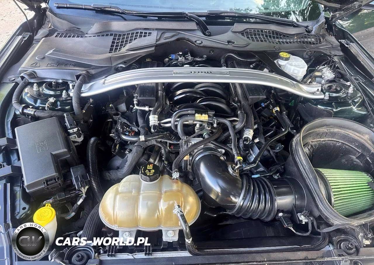 2019 Ford Mustang Bullitt VIN:1FA6P8K00K5504450 - 7