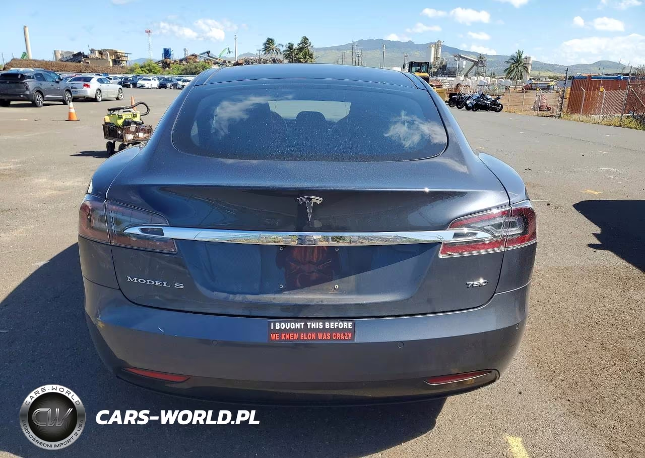 2016 Tesla Model S VIN:5YJSA1E20GF170330 - 6