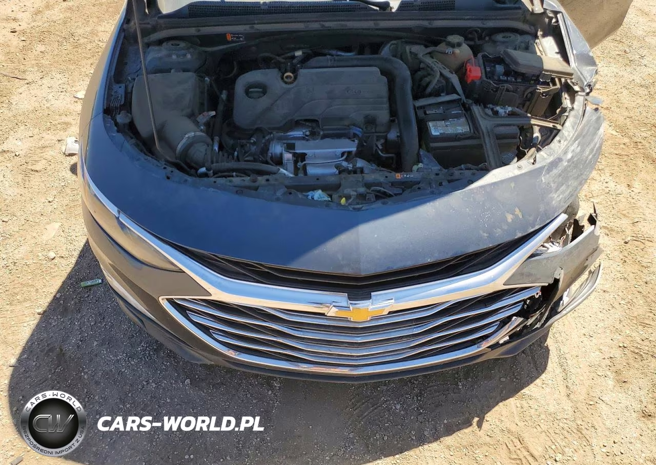 2019 Chevrolet Malibu Ls VIN:1G1ZB5ST6KF196184 - 11