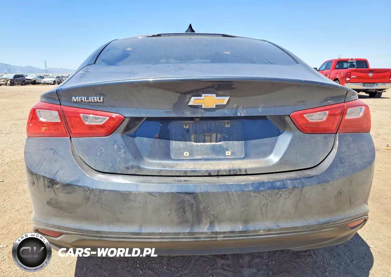 2019 Chevrolet Malibu Ls VIN:1G1ZB5ST6KF196184 - 6