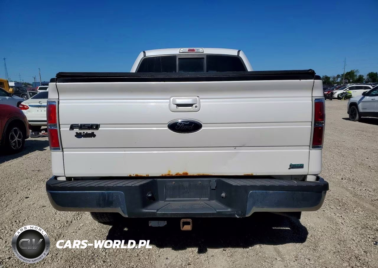 2010 Ford F150 Supercrew VIN:1FTFW1EV3AFD30863 - 6