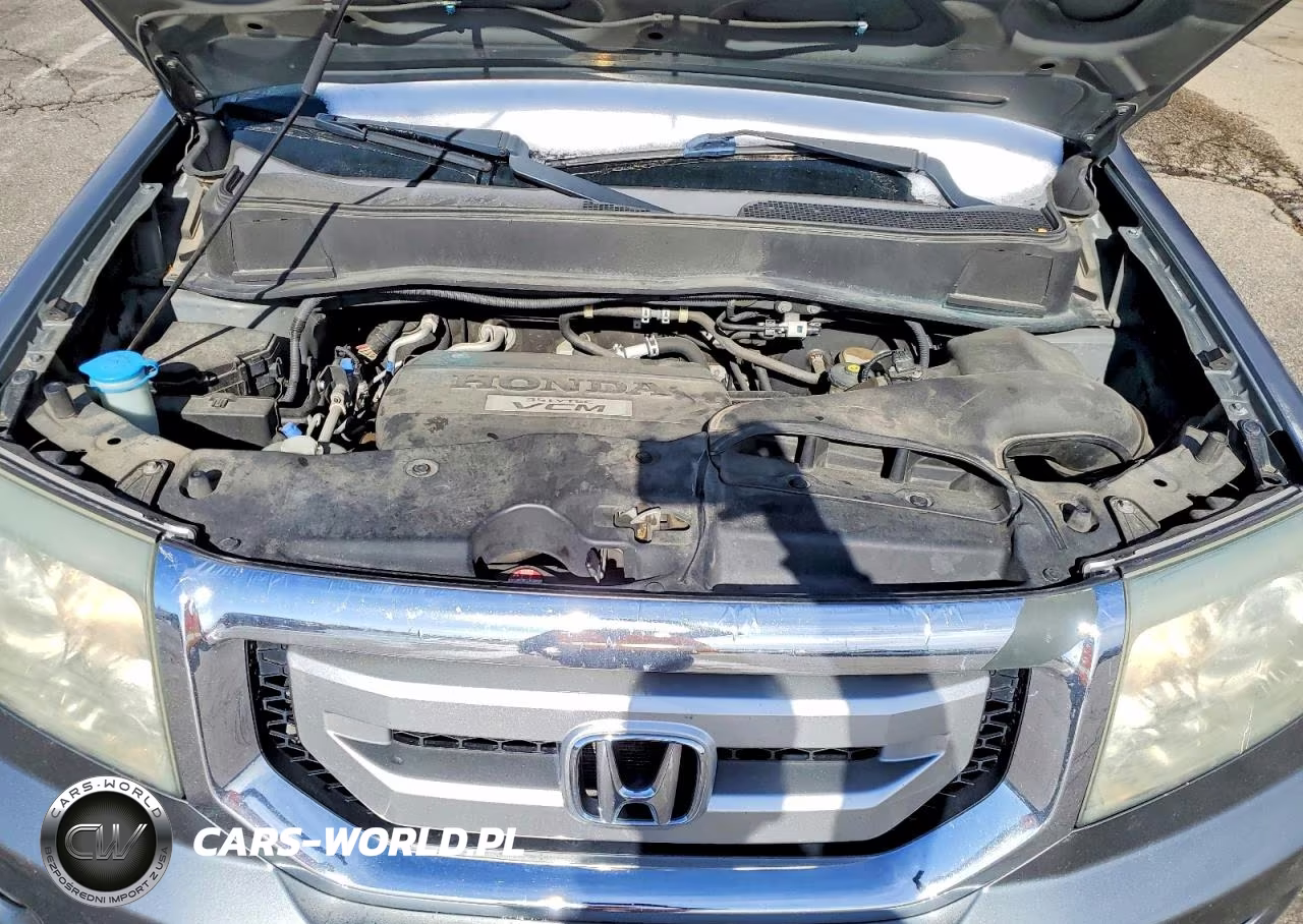 2009 Honda Pilot Exl VIN:5FNYF48519B041373 - 11
