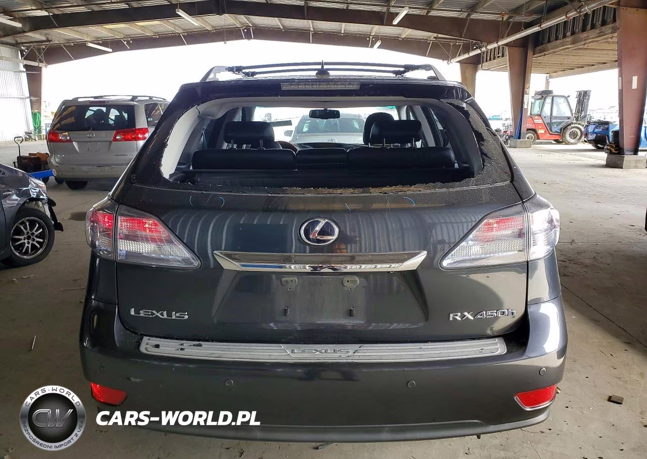 2010 Lexus Rx 450H VIN:JTJBC1BA3A2031595 - 6