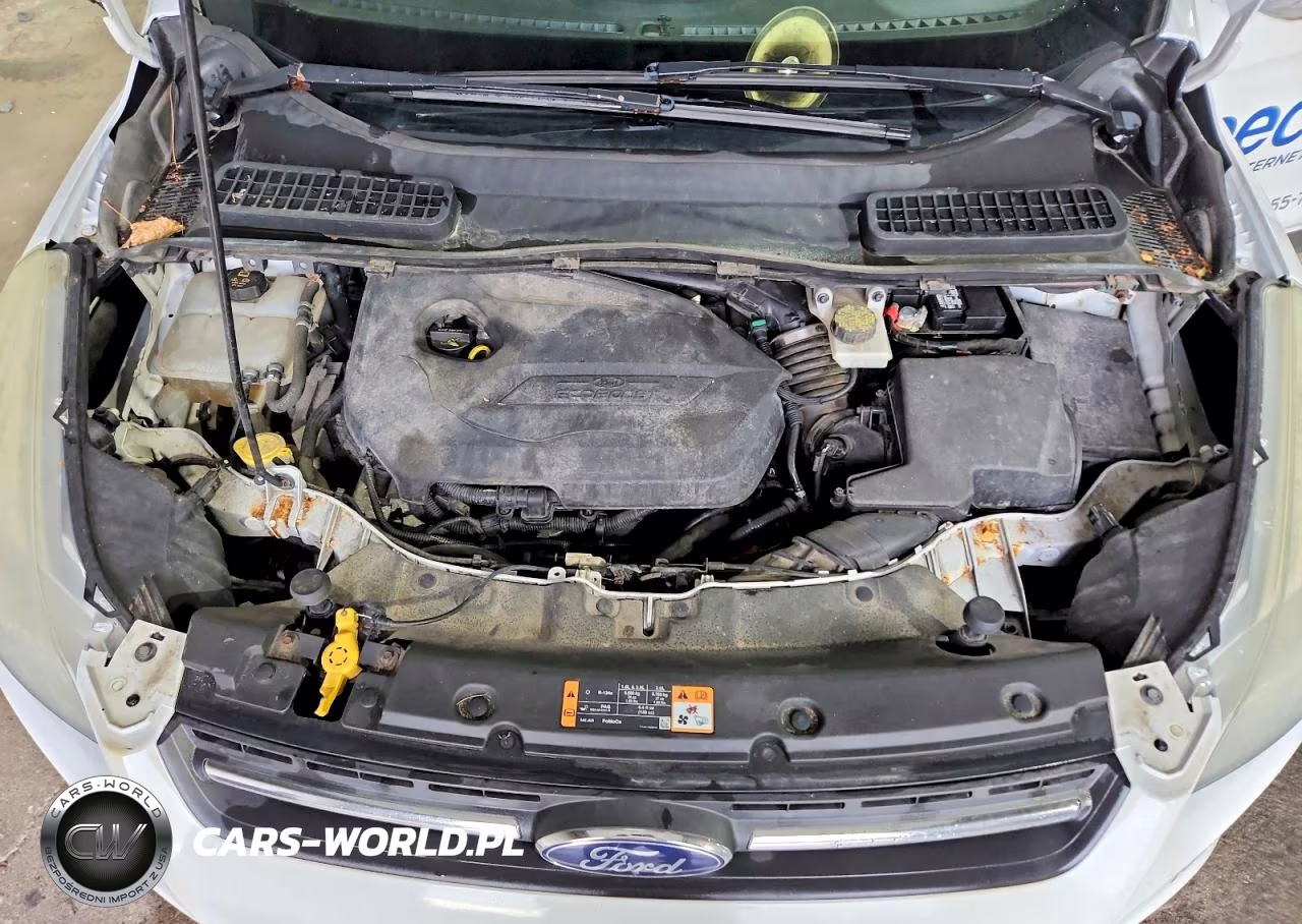 2014 Ford Escape Se VIN:1FMCU9GX7EUB16963 - 11