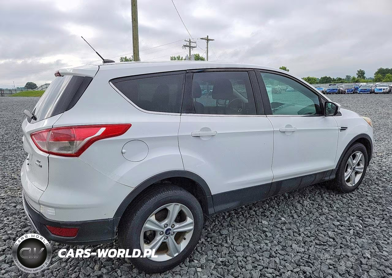 2014 Ford Escape Se VIN:1FMCU9GX7EUB16963 - 3