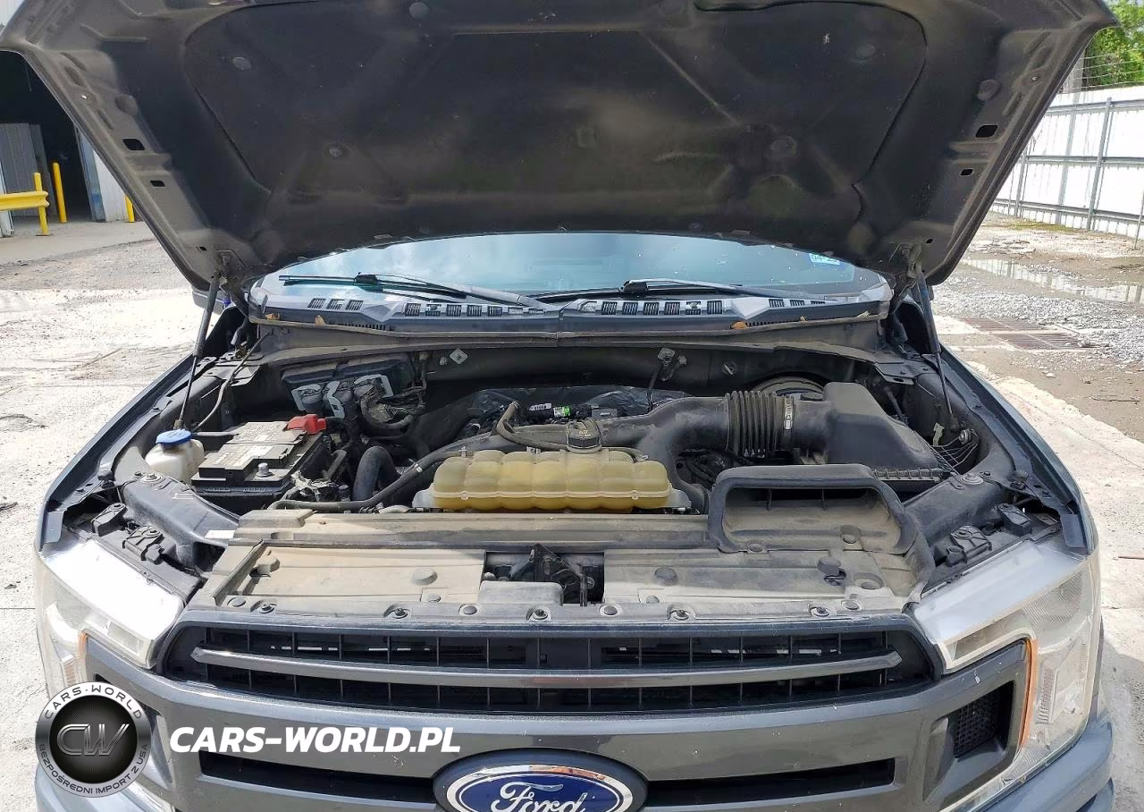 2020 Ford F150 Supercrew VIN:1FTEW1CP7LKD01313 - 11