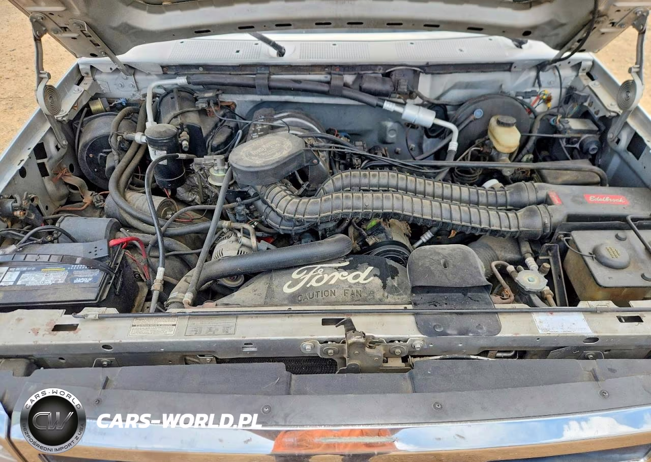 1993 Ford F150 VIN:1FTEX15N5PKB62054 - 11