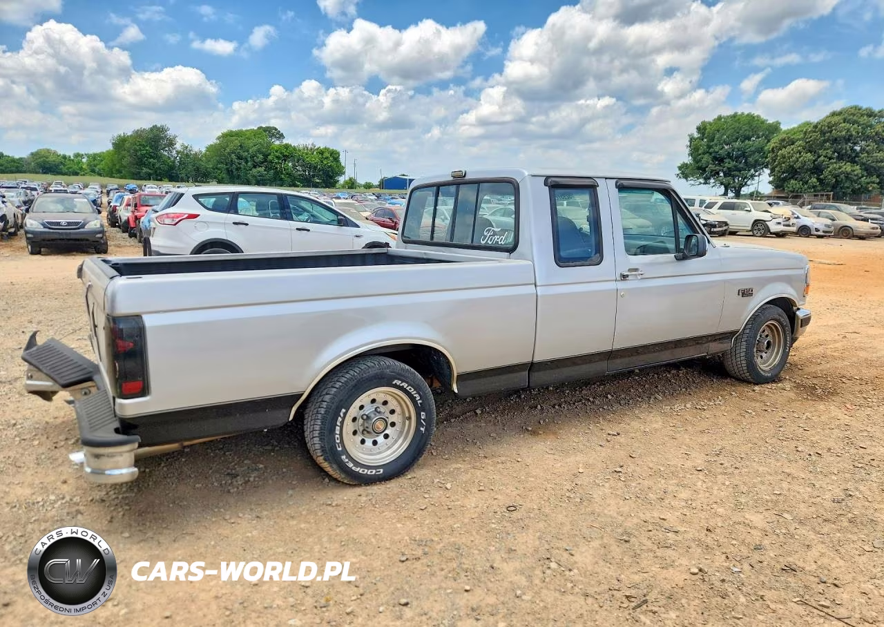 1993 Ford F150 VIN:1FTEX15N5PKB62054 - 3