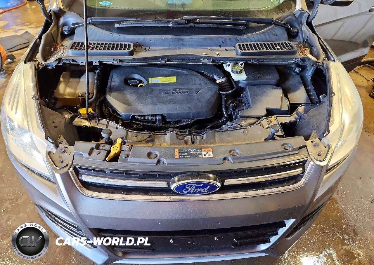 2014 Ford Escape Titanium VIN:1FMCU9JX0EUC03810 - 12