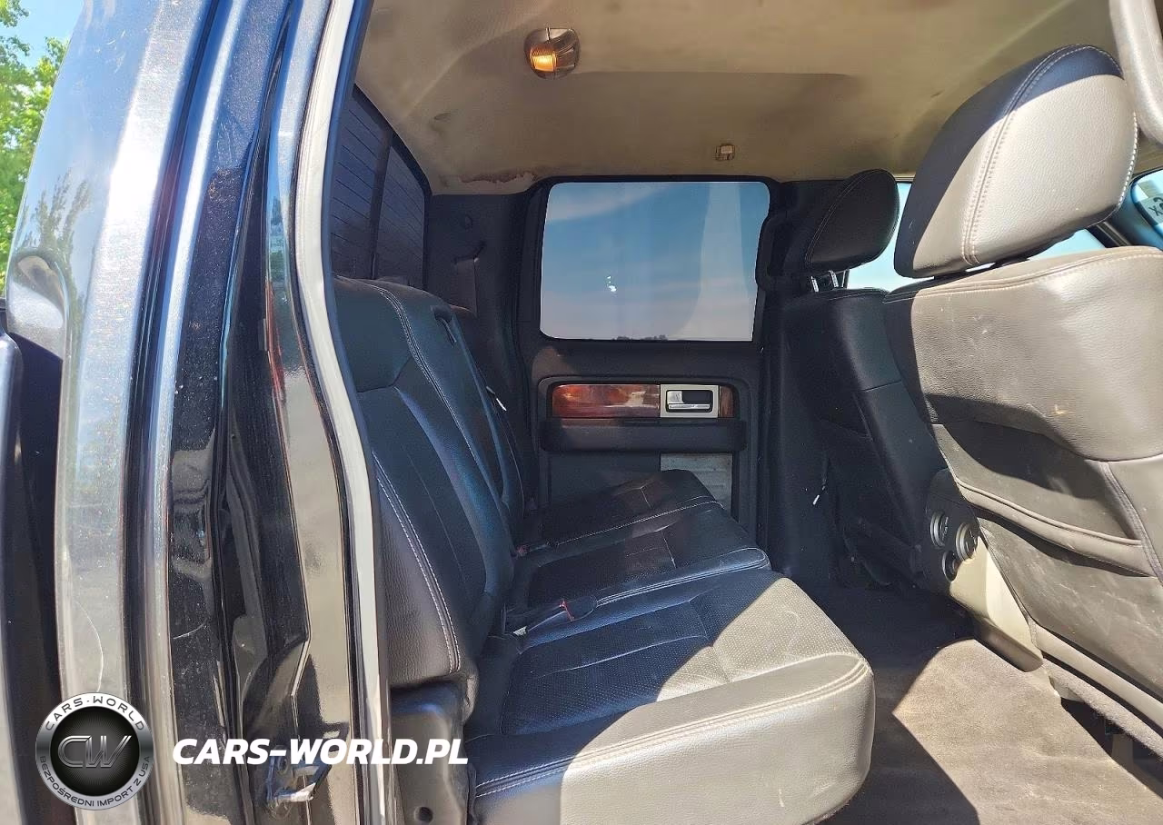 2010 Ford F150 Supercrew VIN:1FTFW1EV1AFC94655 - 10