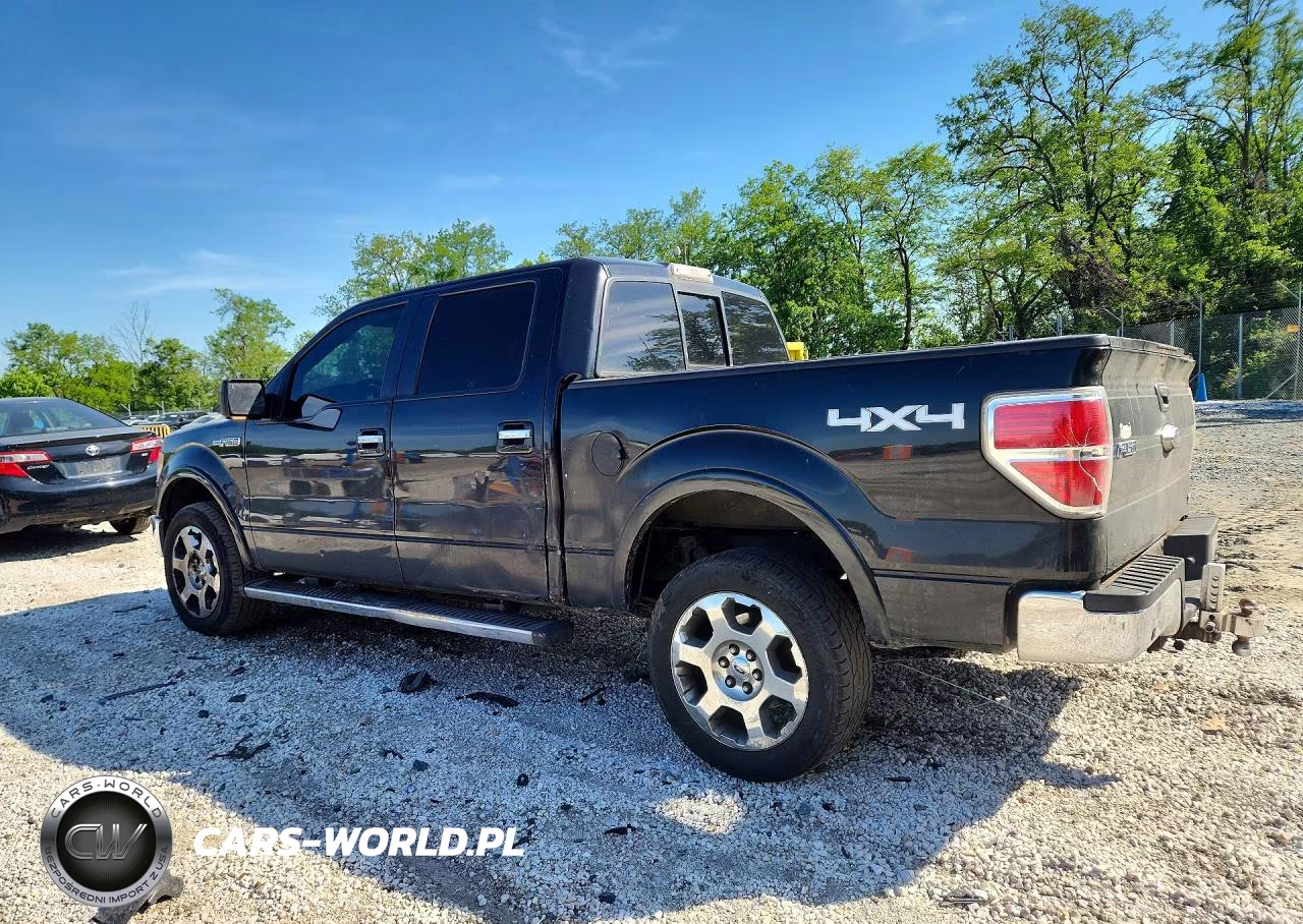 2010 Ford F150 Supercrew VIN:1FTFW1EV1AFC94655 - 2