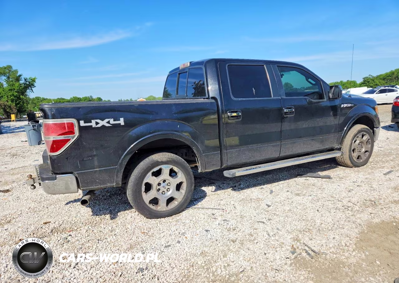 2010 Ford F150 Supercrew VIN:1FTFW1EV1AFC94655 - 3