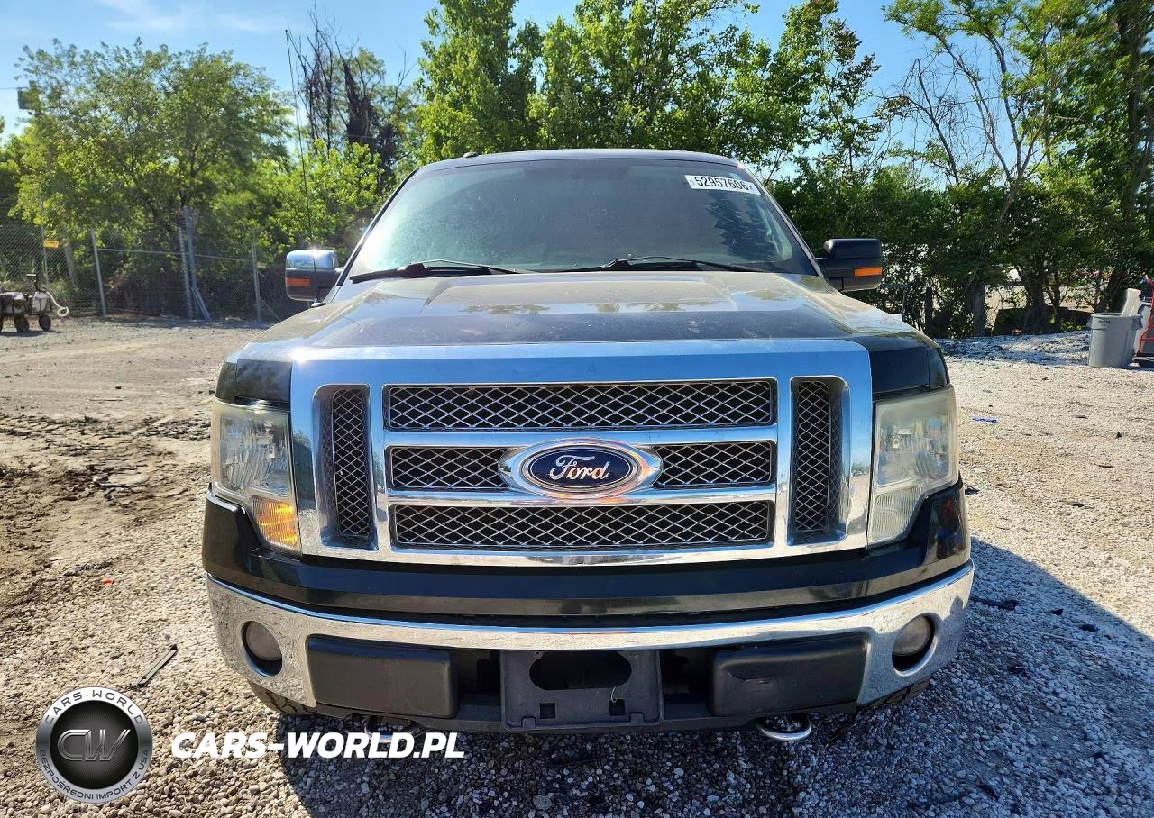 2010 Ford F150 Supercrew VIN:1FTFW1EV1AFC94655 - 5