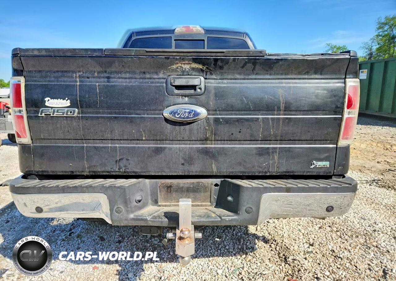 2010 Ford F150 Supercrew VIN:1FTFW1EV1AFC94655 - 6