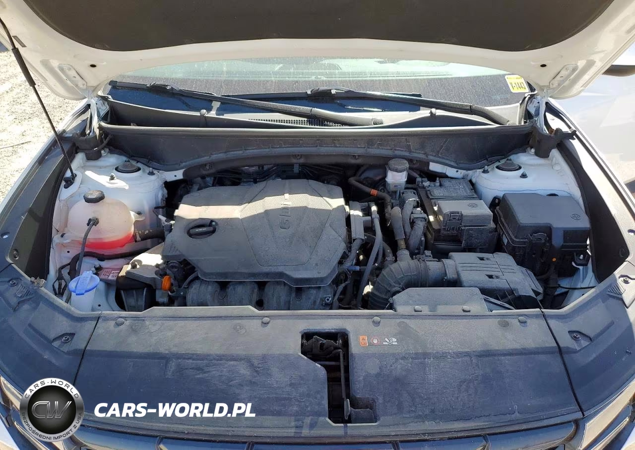 2024 Hyundai Tucson Sel VIN:5NMJBCDE7RH311430 - 12