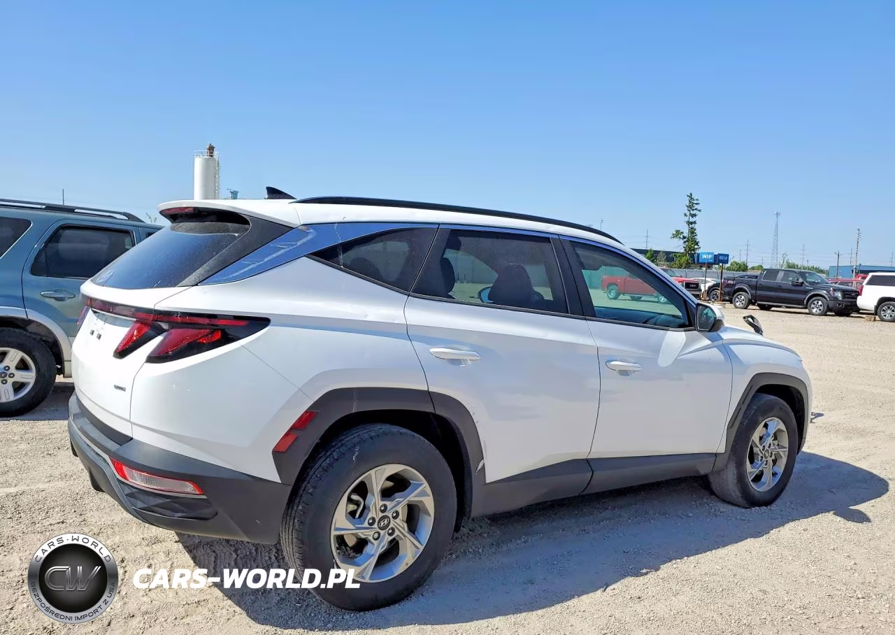 2024 Hyundai Tucson Sel VIN:5NMJBCDE7RH311430 - 3
