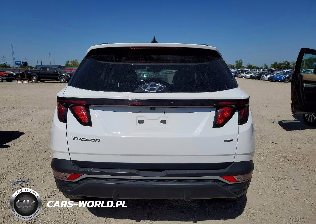 2024 Hyundai Tucson Sel VIN:5NMJBCDE7RH311430 - 6