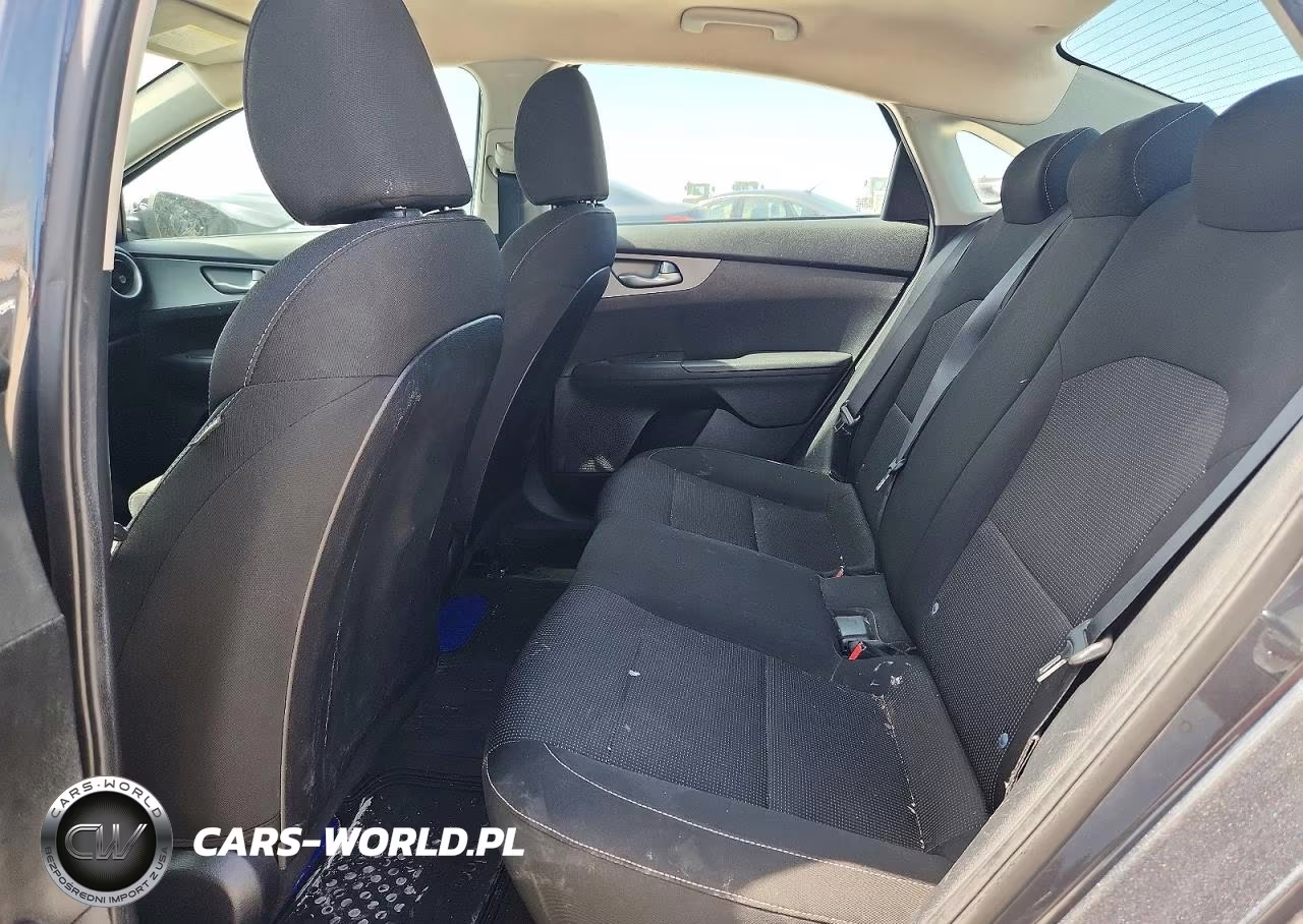 2019 Kia Forte Lxs VIN:3KPF24AD9KE098243 - 10