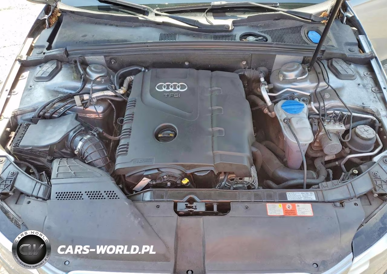 2009 Audi A4 Premium Plus VIN:WAUGF78K49A177098 - 11