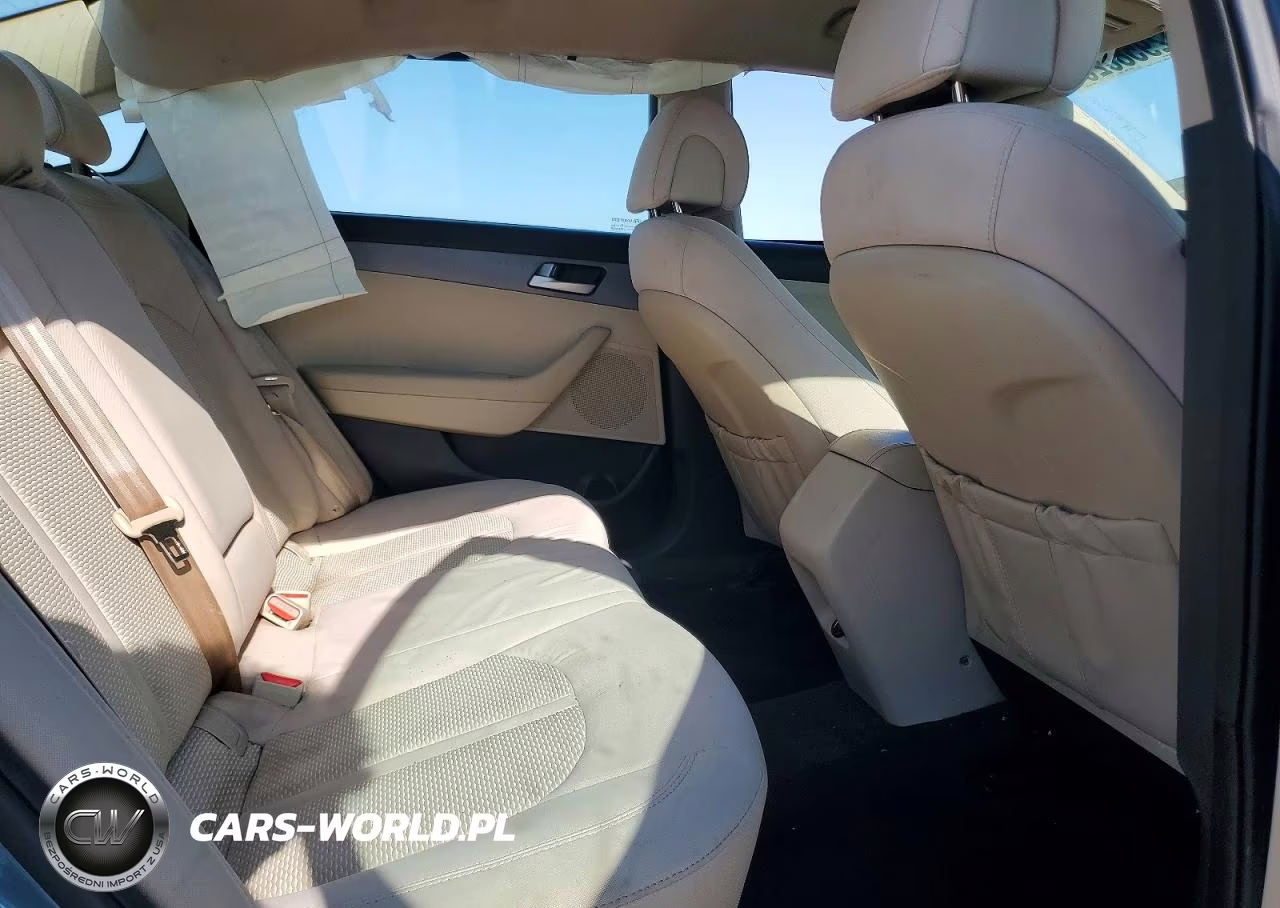 2016 Hyundai Sonata Se VIN:5NPE24AF1GH301559 - 10