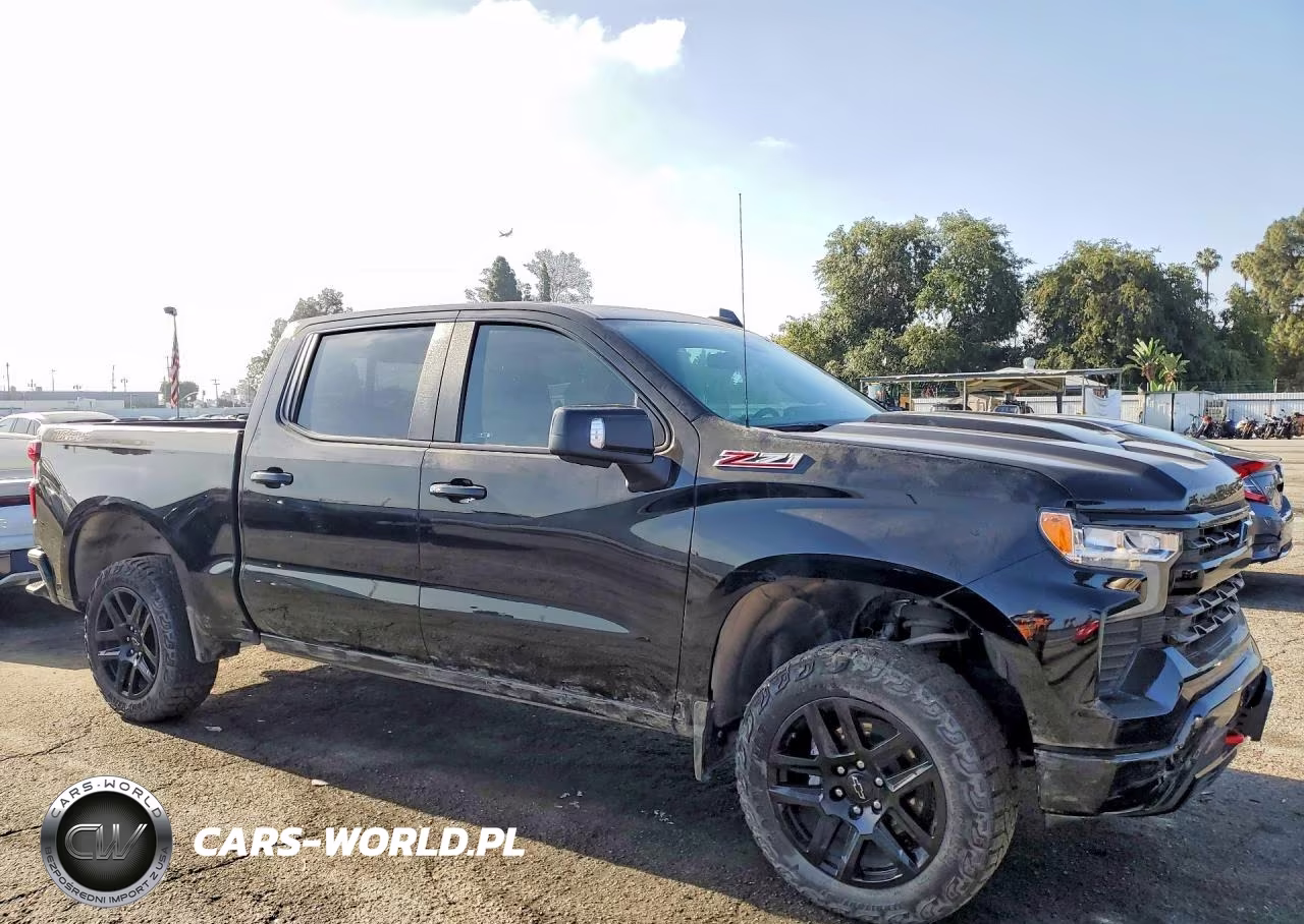 2024 Chevrolet Silverado K1500 Lt Trail Boss VIN:3GCUDFED5RG239346 - 4