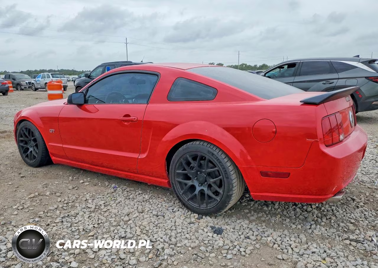 2006 Ford Mustang Gt VIN:1ZVFT82HX65206986 - 2