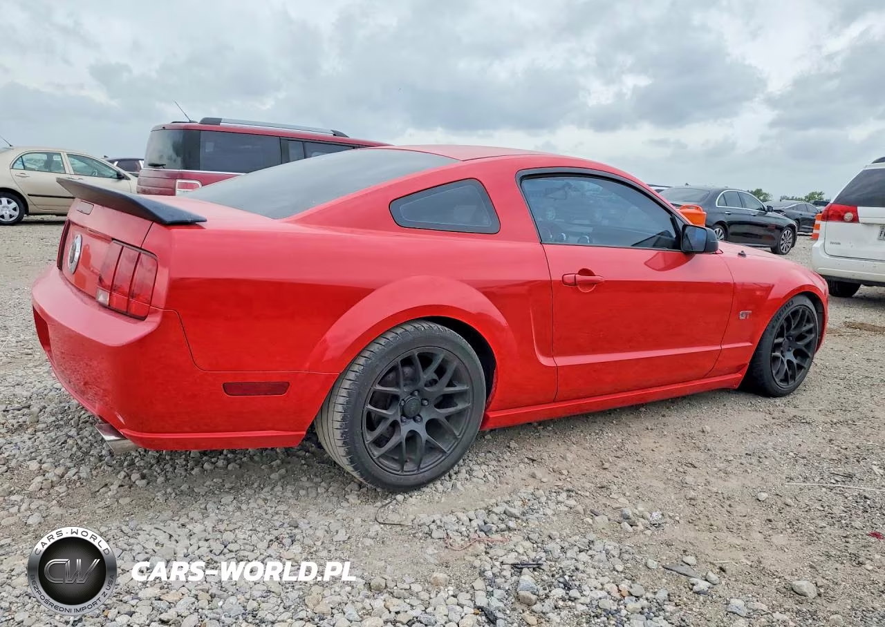 2006 Ford Mustang Gt VIN:1ZVFT82HX65206986 - 3