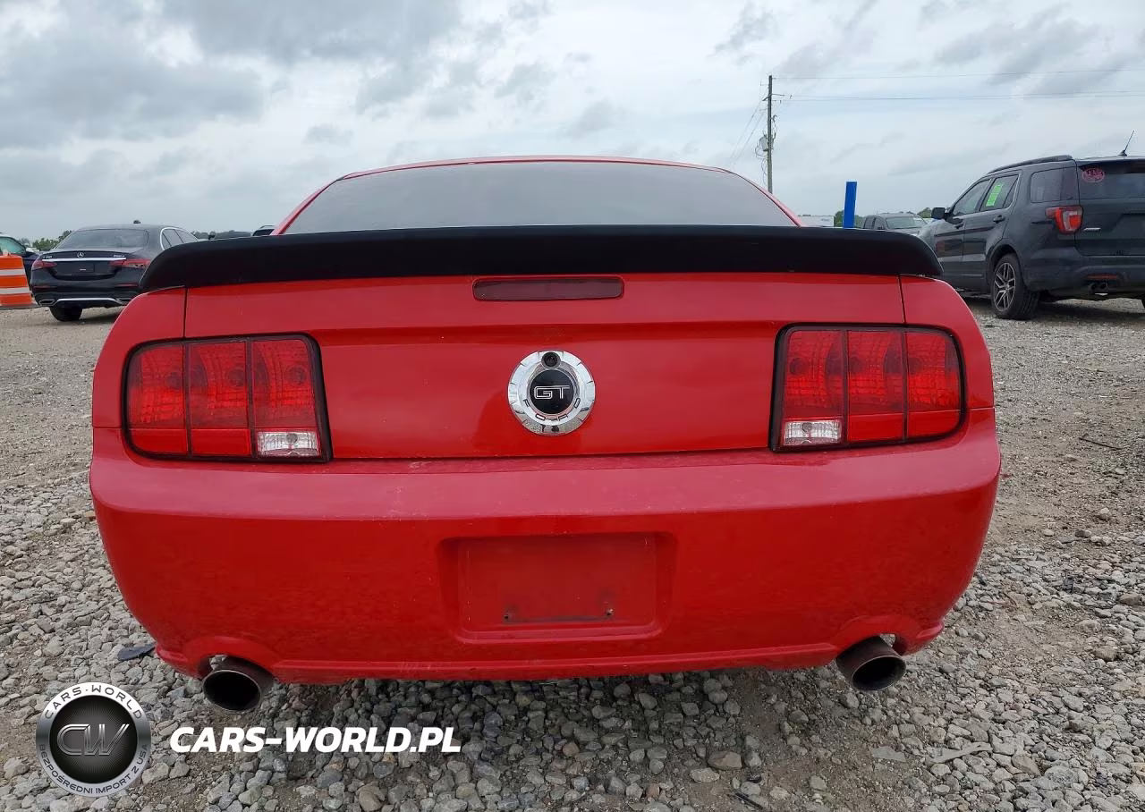 2006 Ford Mustang Gt VIN:1ZVFT82HX65206986 - 6