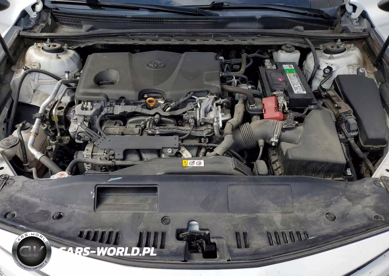 2019 Toyota Camry Le VIN:4T1B11HKXKU248815 - 11