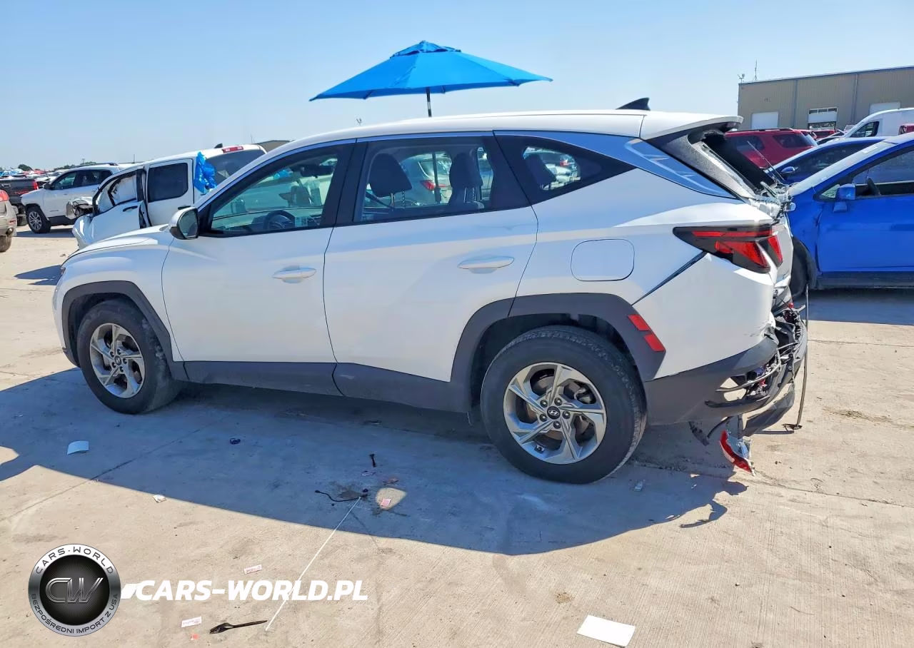 2024 Hyundai Tucson Se VIN:5NMJA3DE4RH431012 - 2