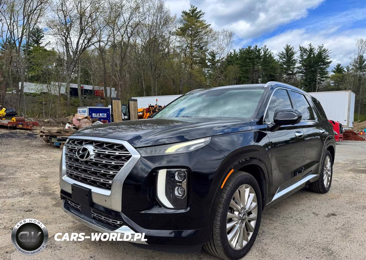 2020 Hyundai Palisade Limited VIN:KM8R54HE6LU073642 - 2