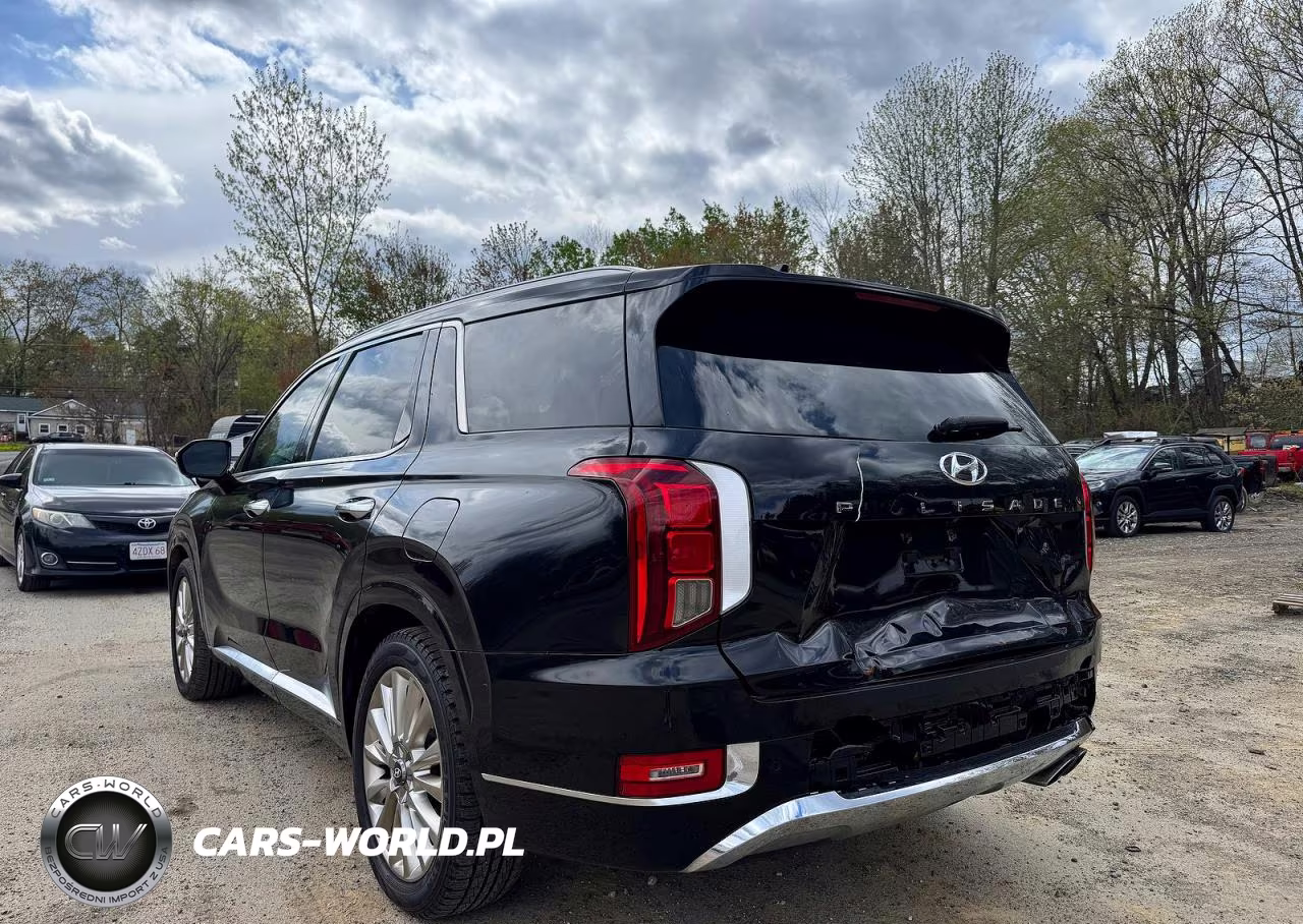 2020 Hyundai Palisade Limited VIN:KM8R54HE6LU073642 - 3